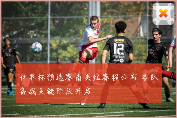 世界杯预选赛南美组赛程公布 各队备战关键阶段开启