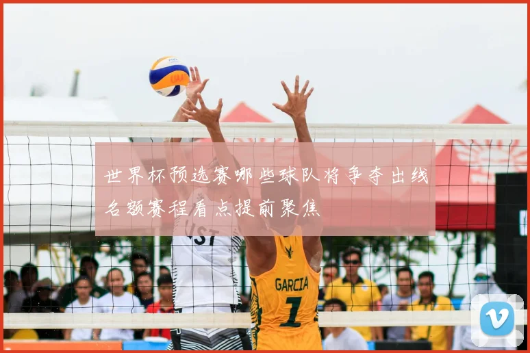 世界杯预选赛哪些球队将争夺出线名额赛程看点提前聚焦