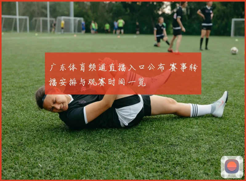 广东体育频道直播入口公布 赛事转播安排与观赛时间一览
