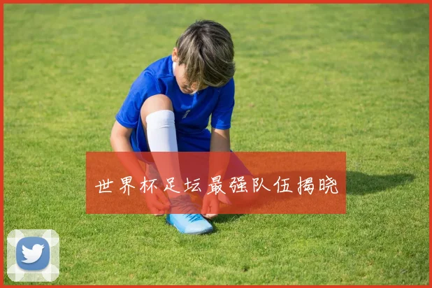 世界杯足坛最强队伍揭晓