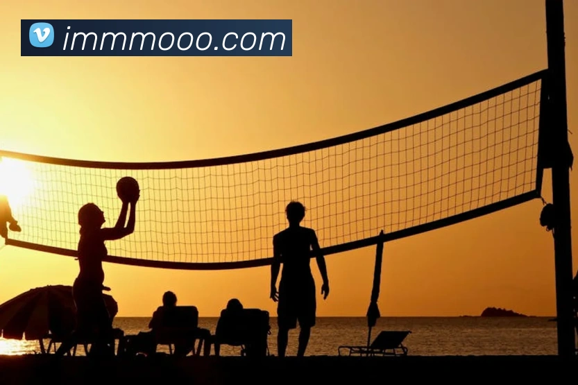 球赛押注app官网服务体系